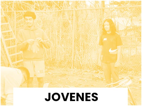 Jovenes